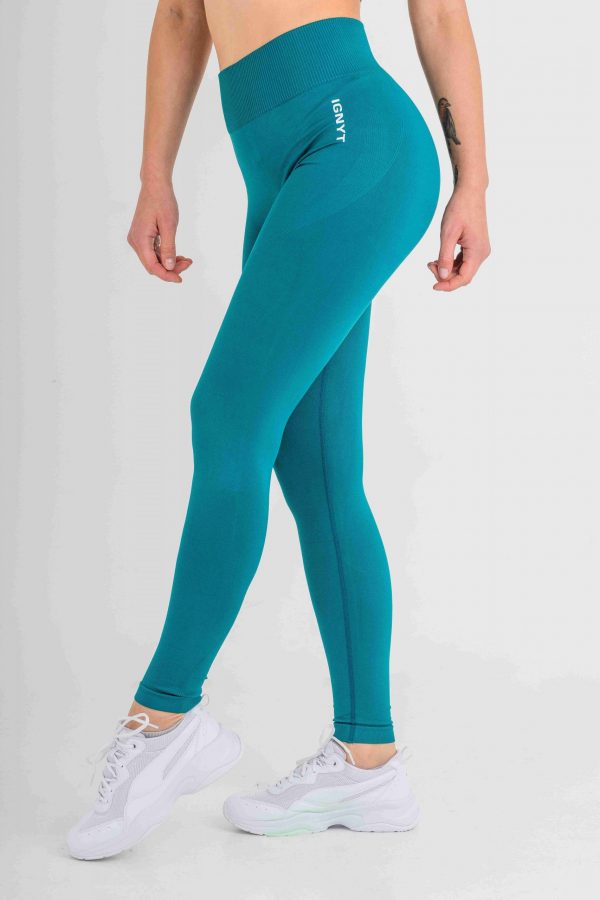 BAYSC Seamless Leggings in Teal